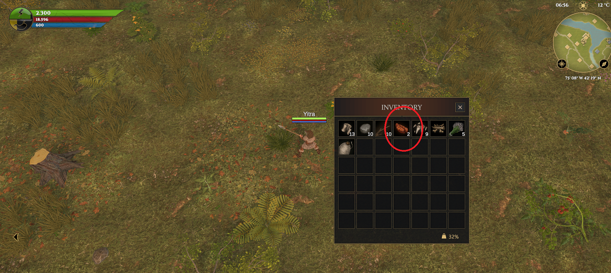 Enter bug 1.png