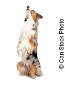 cdbbd4e9-5292-4ae0-aa2d-9405cac74e72-image.png