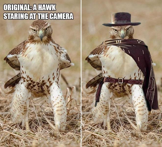 8921eec4-4aa6-45b9-bdc0-8ba10b0dd3fd-image.png
