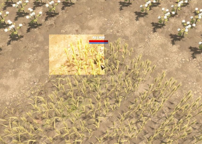 PlantStructure1.jpg