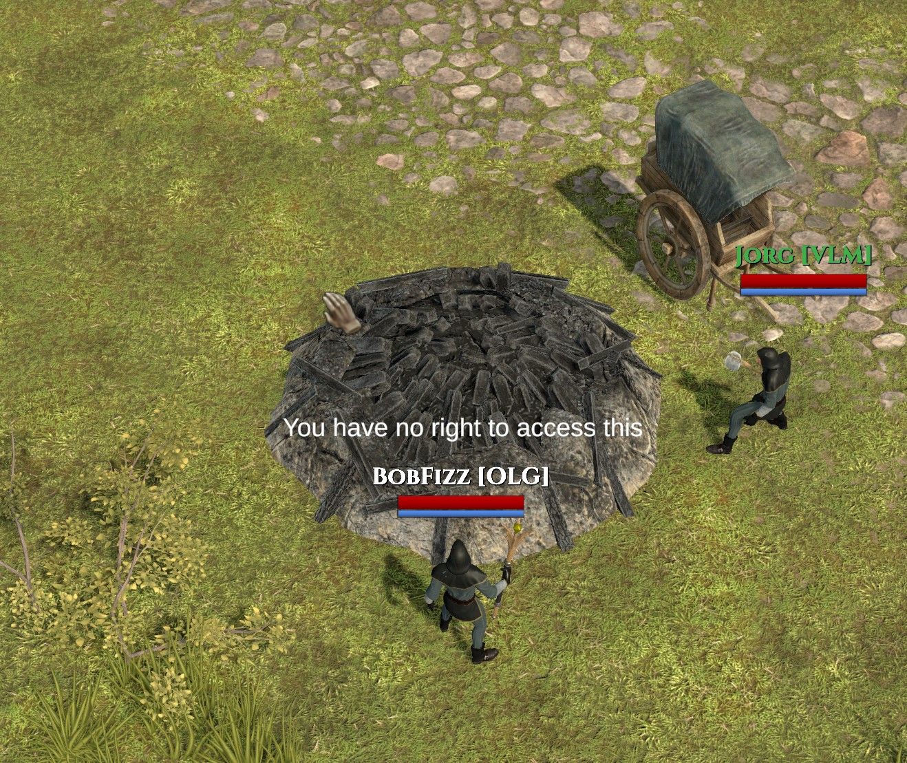 Charcoal_Bug.jpg