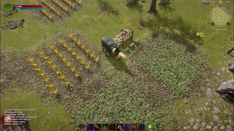 The Garden.jpg