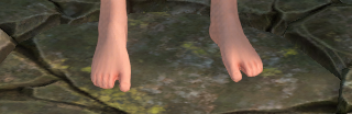 fractured_piedi_prensili.png