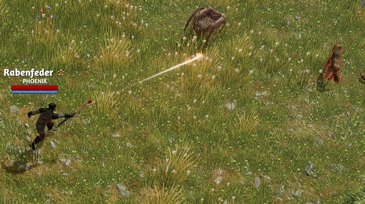 Aiming bug.jpg