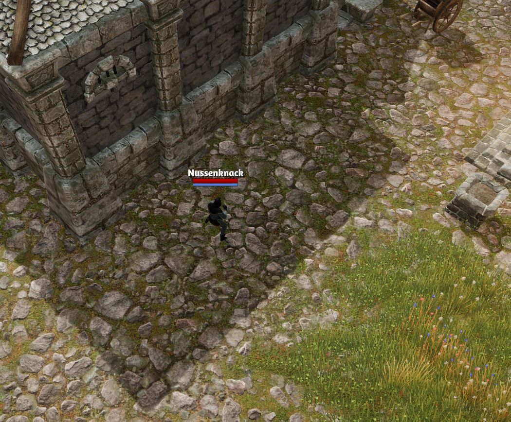 knast bug.JPG