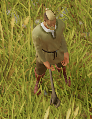 96dd0f0e-d8d6-427a-b077-4b0bb4bcf8f4-image.png