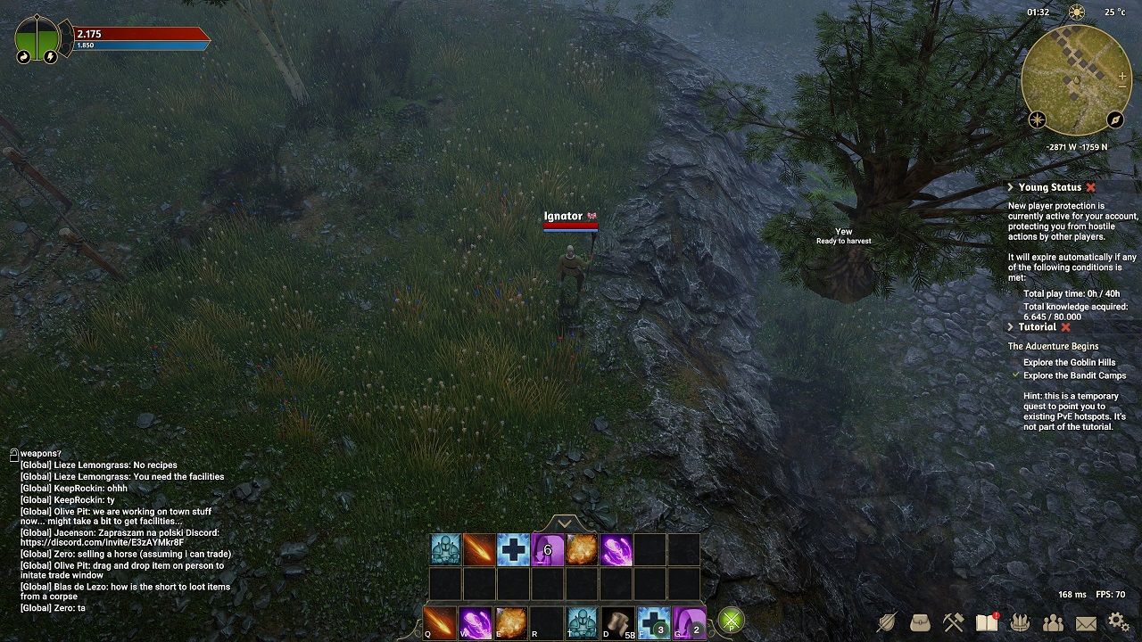 flying_tree.jpg