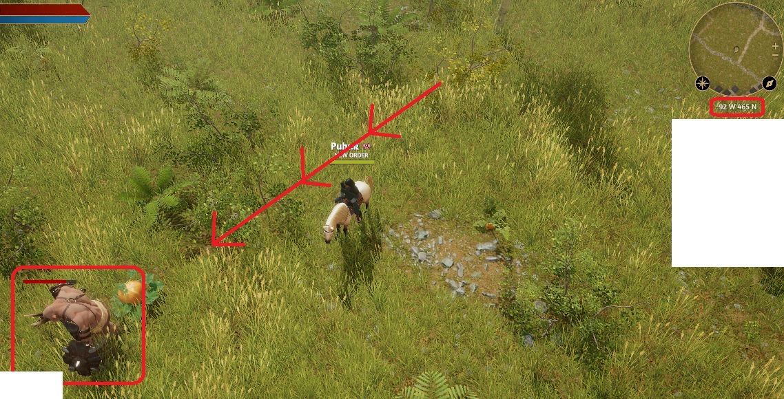 F2.jpg
