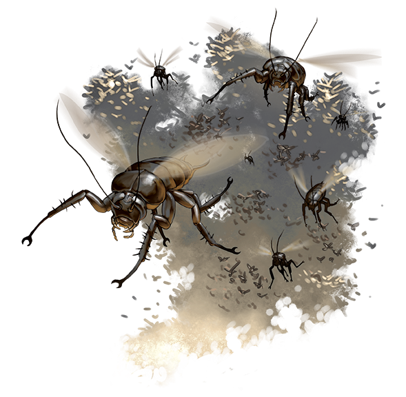 Cockroach_CockroachSwarm.png