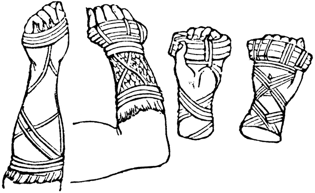 cestus_16276_md.png