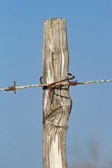 d4945409-800d-47cb-984f-d5285a441b5e-image.png
