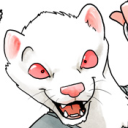 Ferret