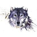 onewolfonly
