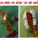 fthai36