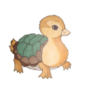 Turckle