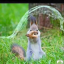 Aaa