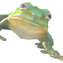 Nimydh
