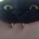Odalimm