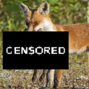 FoxRabbit