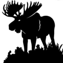 DarkMoose