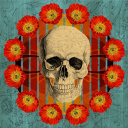 MissMayhem