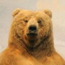 SkrapR