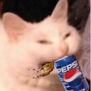 JakeTheShibe