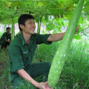WutangKajang