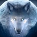 wolfiemcgee