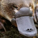 Helgrin