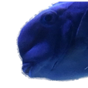 Named