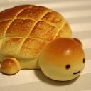 CurryTurtle