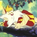 Snarfox