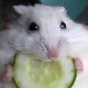 Trix
