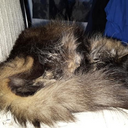 FluffKugel