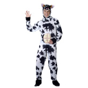 FinnMacCool