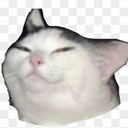 Ficuz