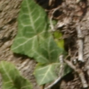 HuakinCZ
