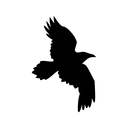 Ellonim