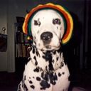 LouDog