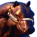 goldnharl