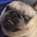 TaterTitan
