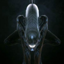 Fluxeum