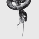 VeenOmous