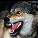BloodLord
